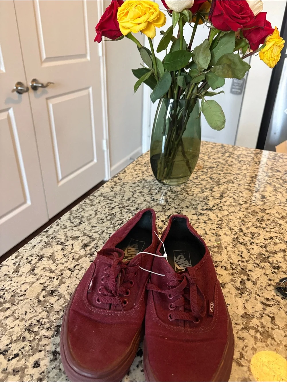 Vans Maroon Canvas Lace-Up Sneakers